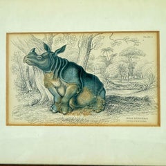 James Stewart Indian Rhinoceros Hand Colored Copper Engraving, Framed – 1836