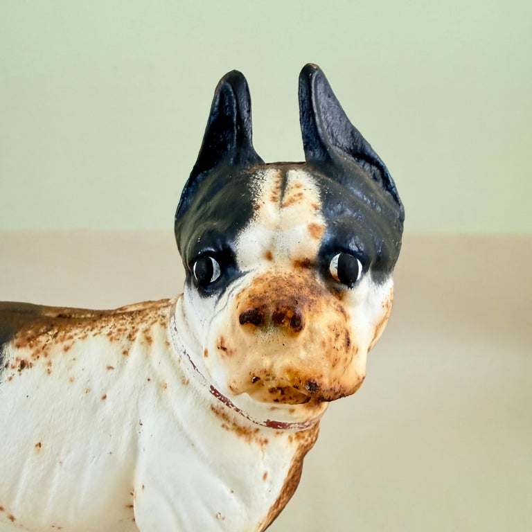 Antique 1900s Hubley Cast Iron French Bulldog Doorstop, Original