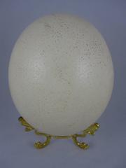 Large Cabinet of Curiosity Ostrich Egg on a Gold Stand