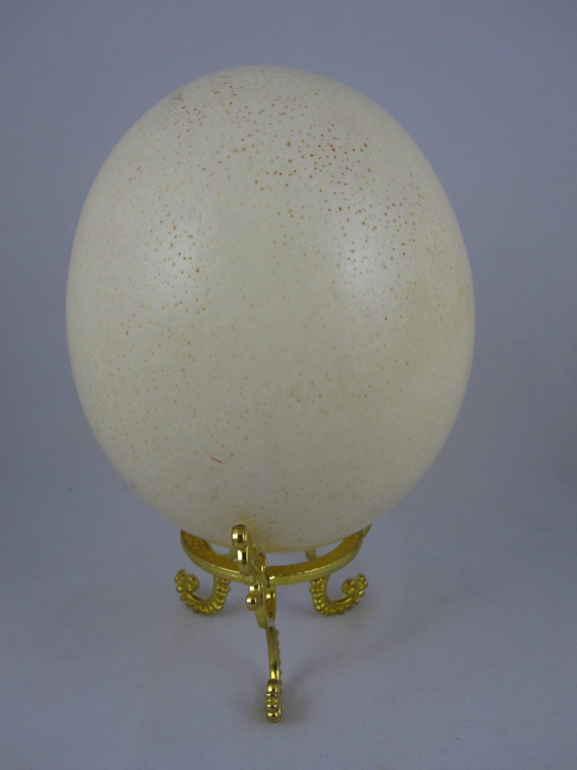 Other Large Cabinet of Curiosity Ostrich Egg on a Gold Stand