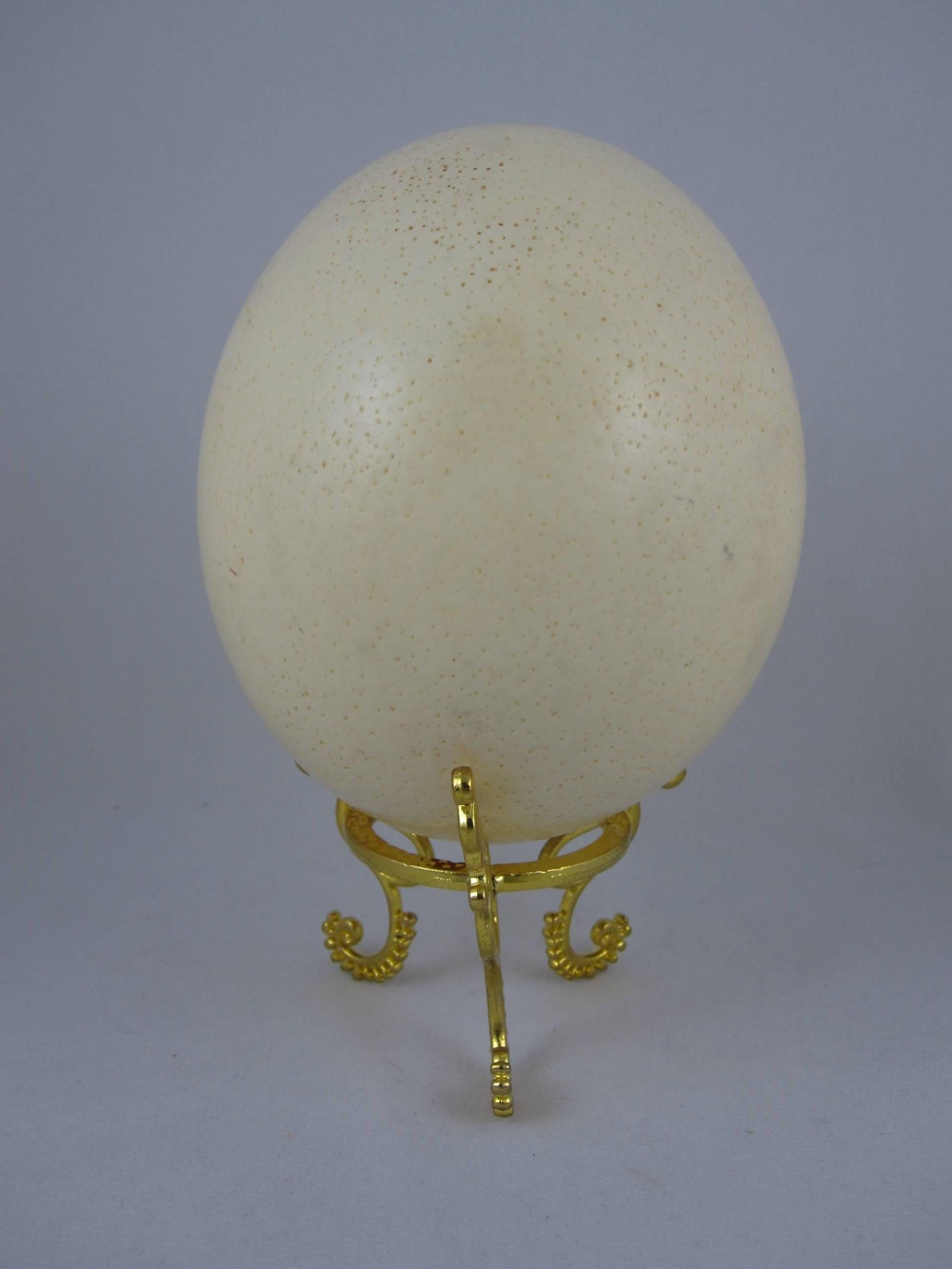 Metal Large Cabinet of Curiosity Ostrich Egg on a Gold Stand