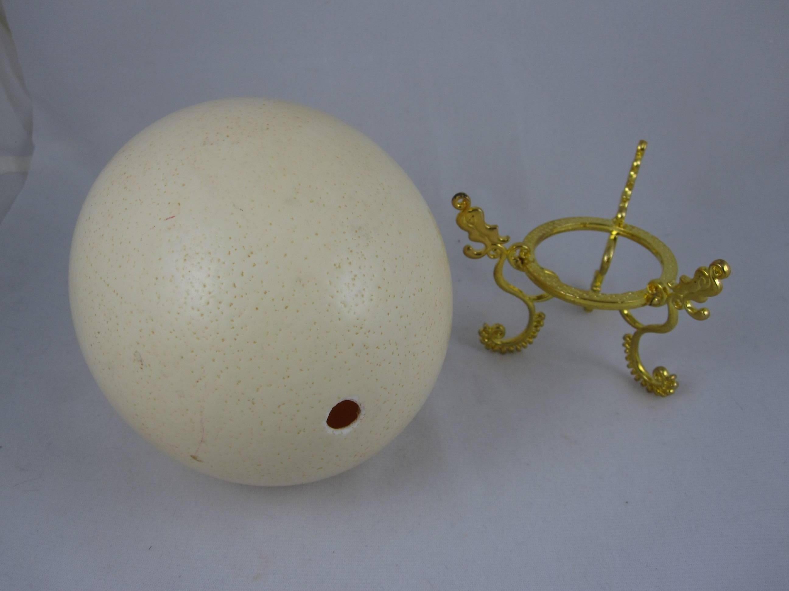 Unknown Large Cabinet of Curiosity Ostrich Egg on a Gold Stand