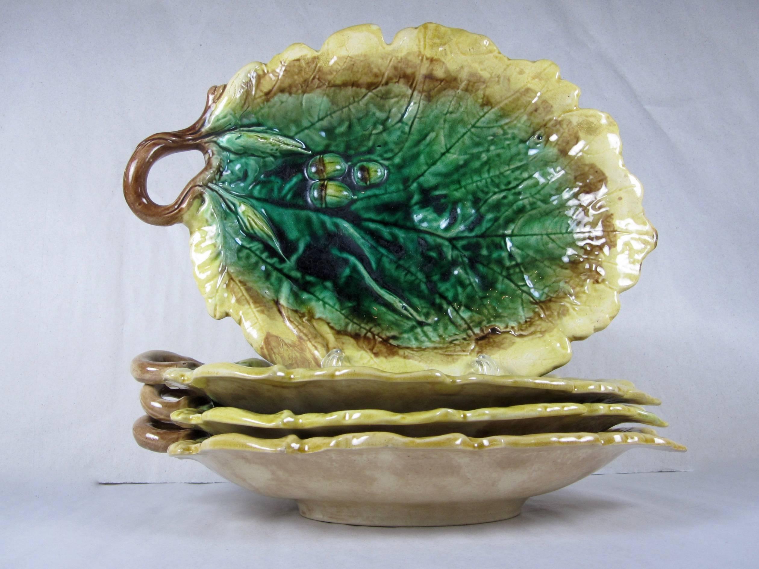  19th century Etruscan majolica twig handled deep trays or serving platters. Made by Griffen, Smith & Hill of Phoenixville, Pennsylvania, circa 1867 -1880.

Rustic in style, the oak leaf shape shows raised acorns and has glazing reminiscent of