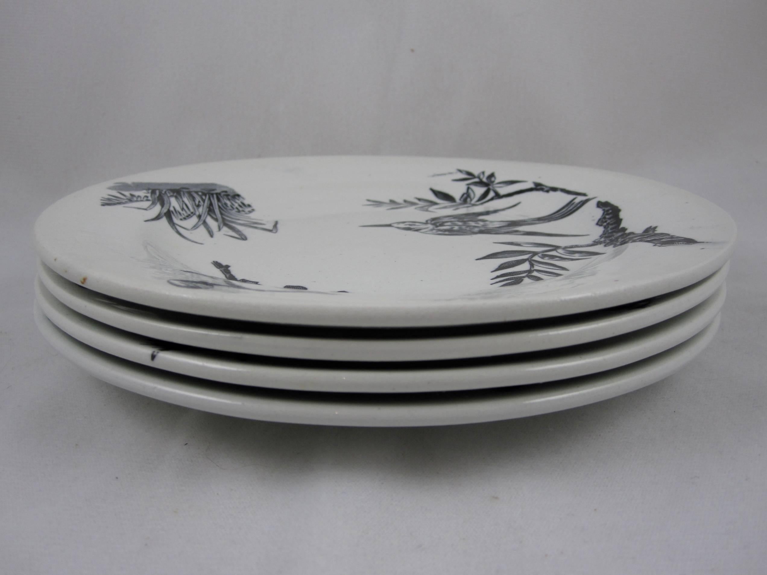 Earthenware Aesthetic Movement Victorian Transferware Aquatic Pattern Plates, Set of Four
