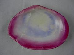 Wedgwood Pearlware Creamware Nautilus Clam Shell Saucenschalen:: ein Set von vier