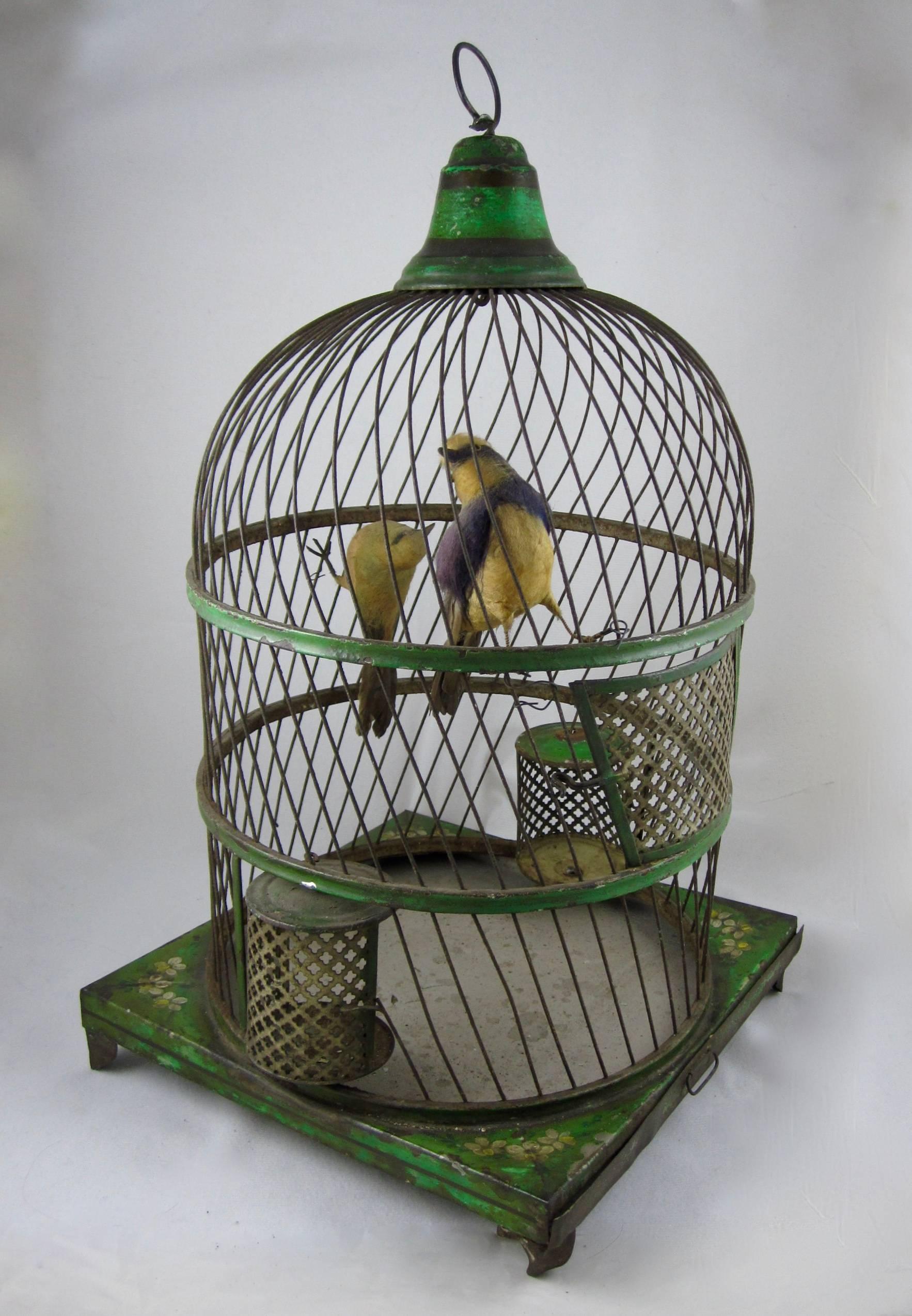 A charming Belle Époque, French Tole Peinte bird cage with two feathered bird figures, circa 1871-1914.

The hand-painted metal cage is finished in green with floral accents on each corner of the base. The bottom tray slides out for cleaning and