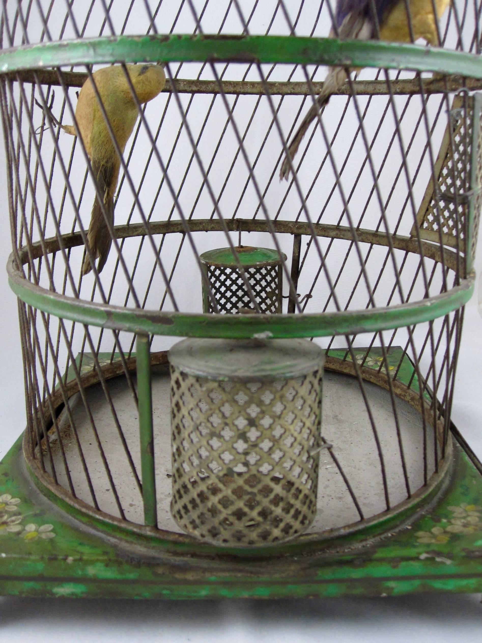 French Belle Époque Tole Peinte Bird Cage and Two Feathered Birds 3