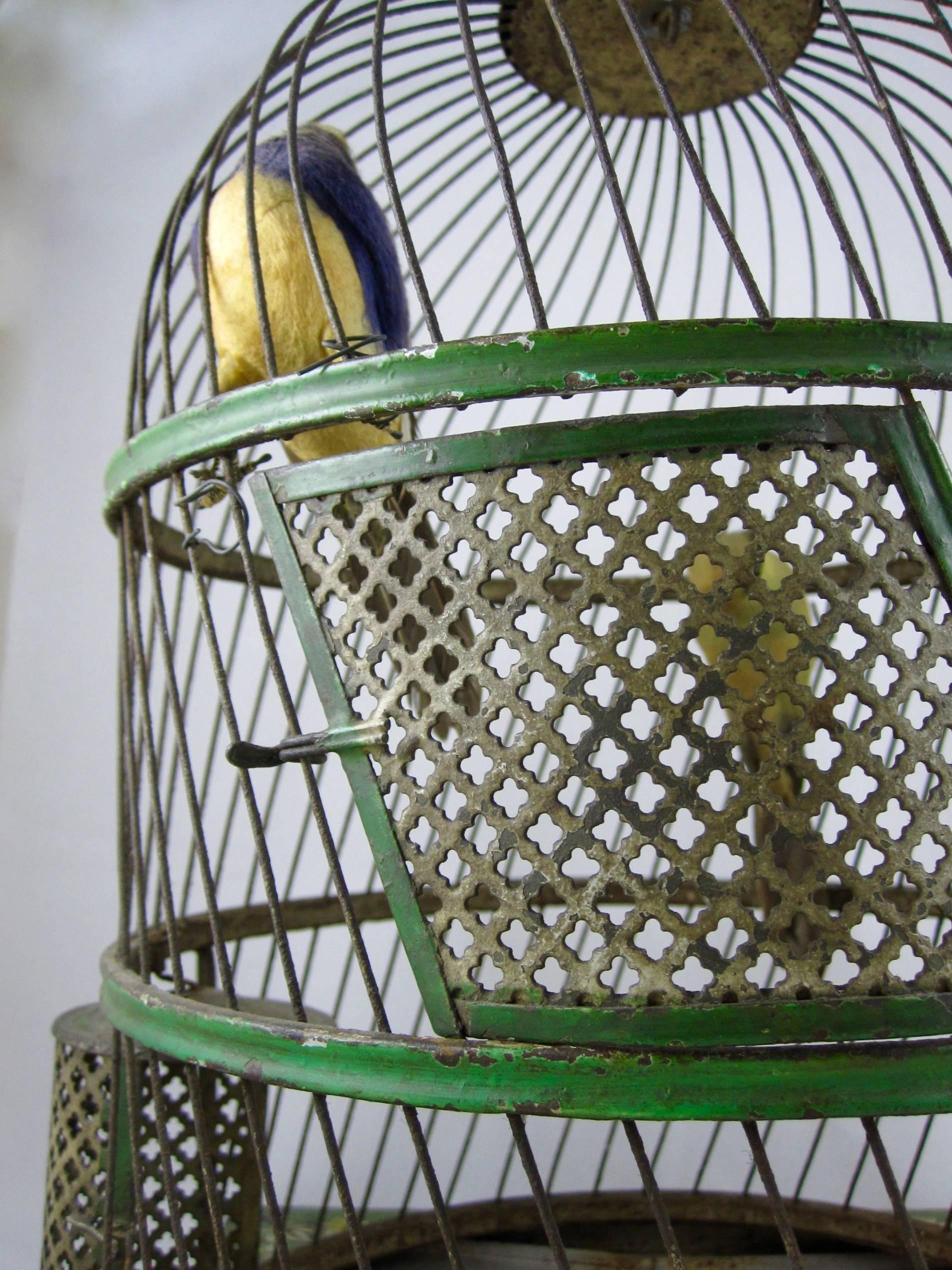 French Belle Époque Tole Peinte Bird Cage and Two Feathered Birds 4