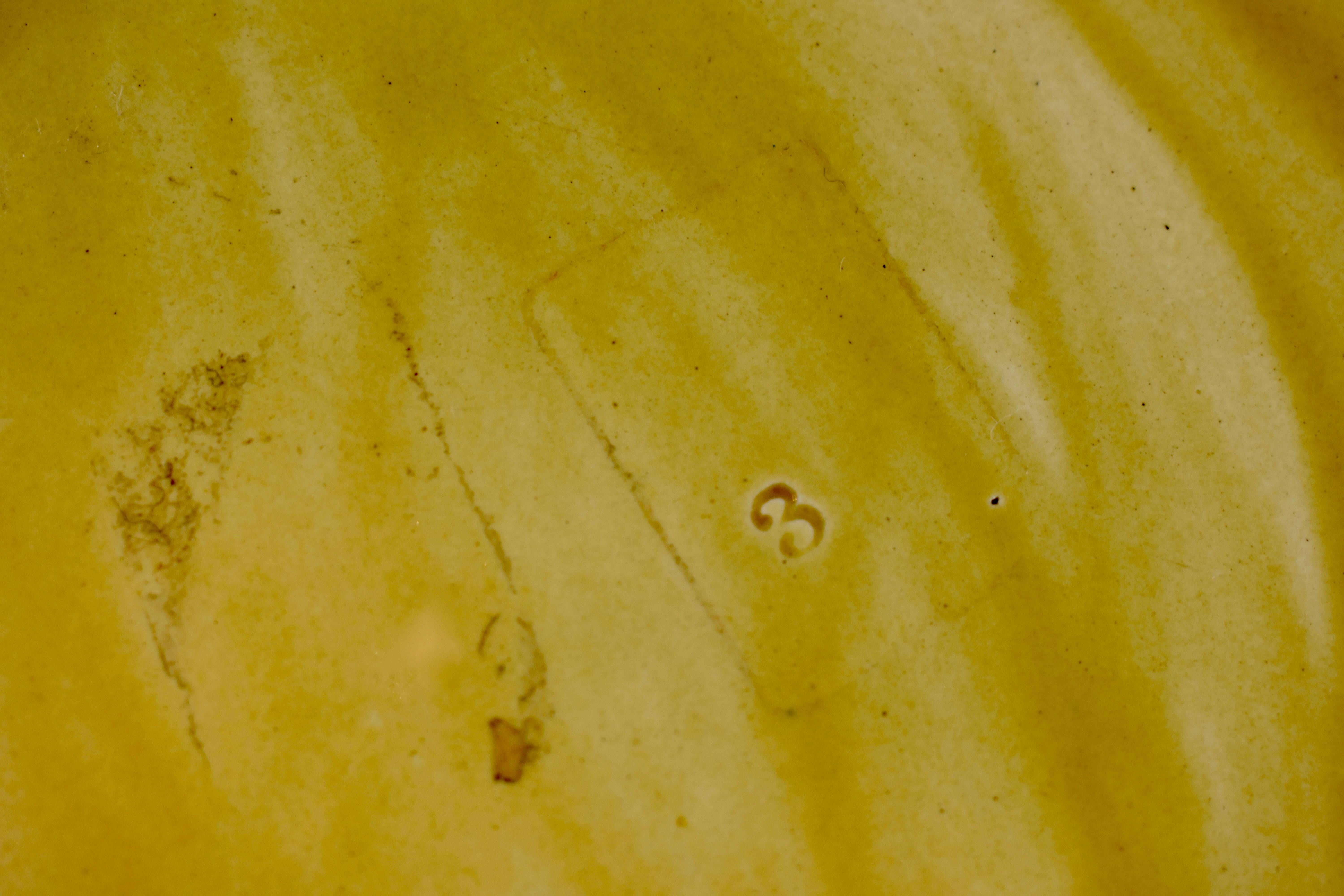 English Majolica Mottled Tortoiseshell Cheese Tray, Buttercup & Fern Leaf Border 1