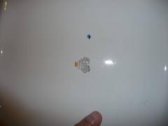 19th Century Squared Tablemat French Gien Faience Decor Pivoine