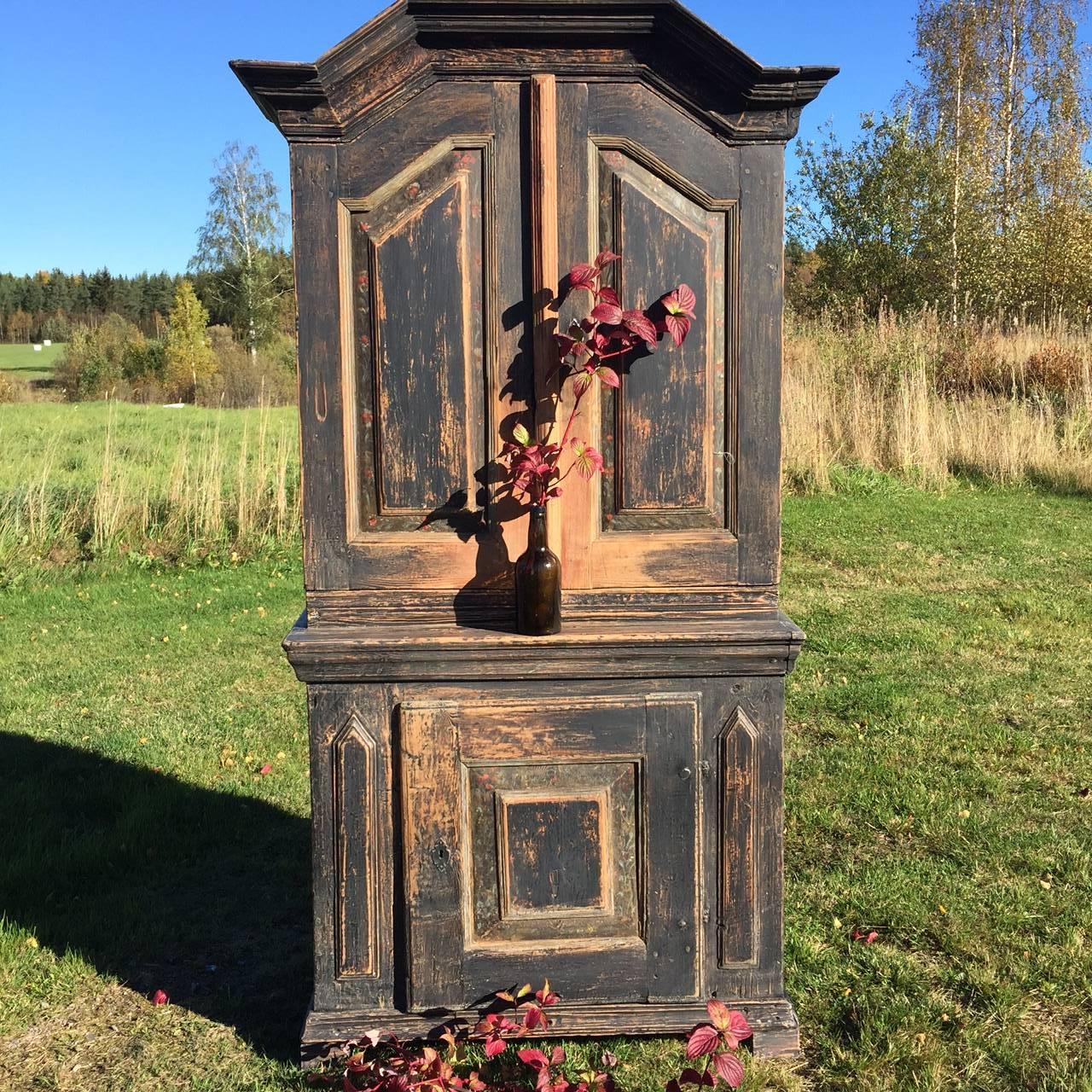 19th century Swedish cabinet. One part. Scraped to original, some parts repainted. Frames with rose edging.