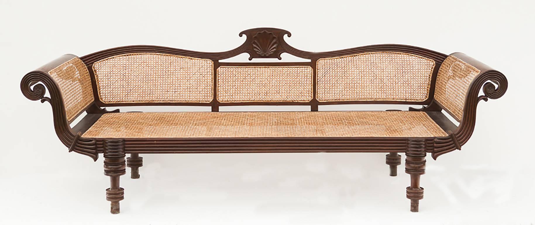 Late 19th century British Colonial caned settee carved from tropical hardwood. This long, graceful Anglo-Indian sofa features rolled arms, turned legs and culminates in a carved clamshell crest. An exceptional and authentic piece of history from