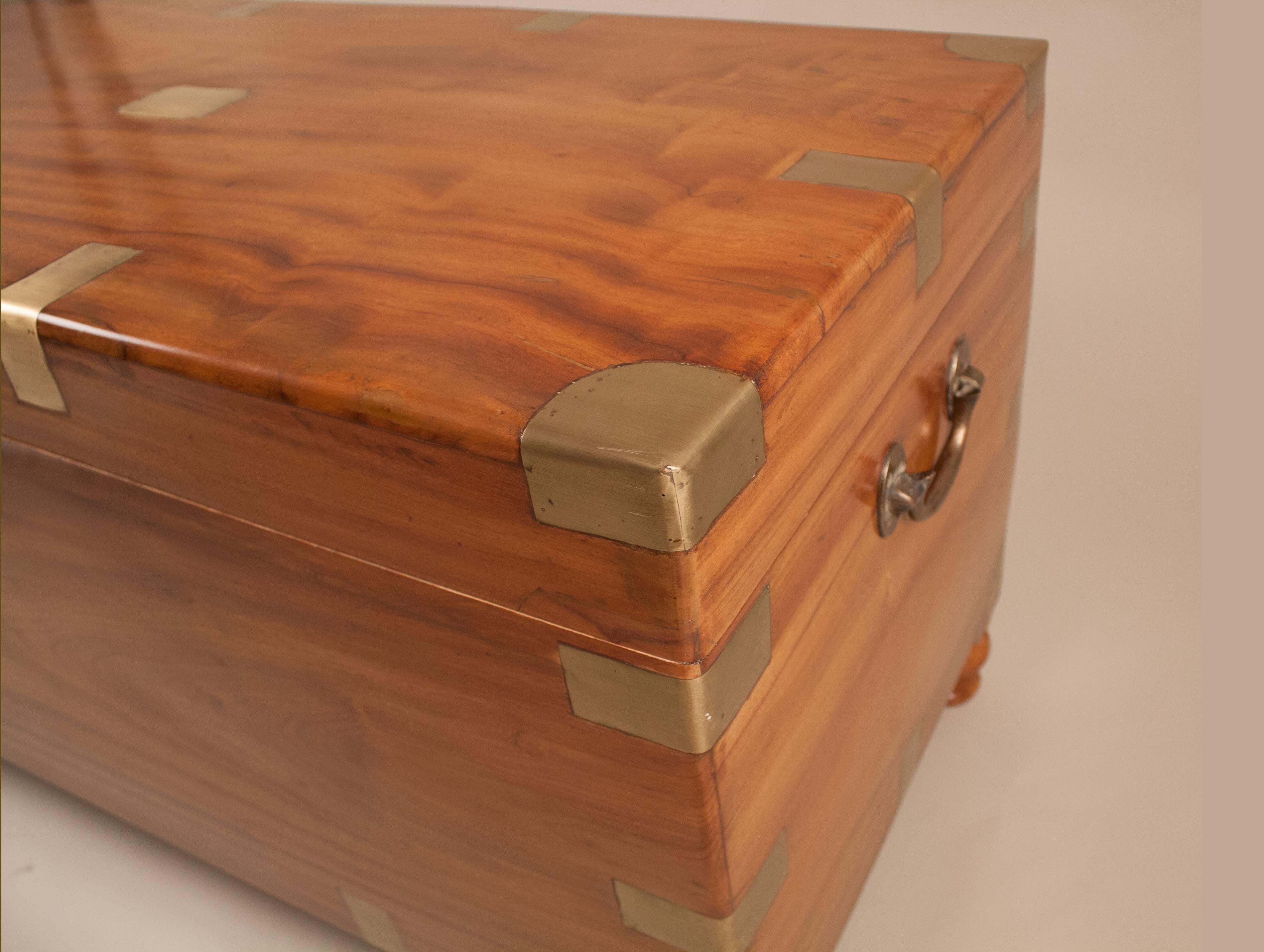 An especially large and handsome late 19th century brass-bound camphor wood captain's chest from England with brass carry handles, side straps and corner details, and an old working lock and key. The trunk has a hinged lid that is supported by