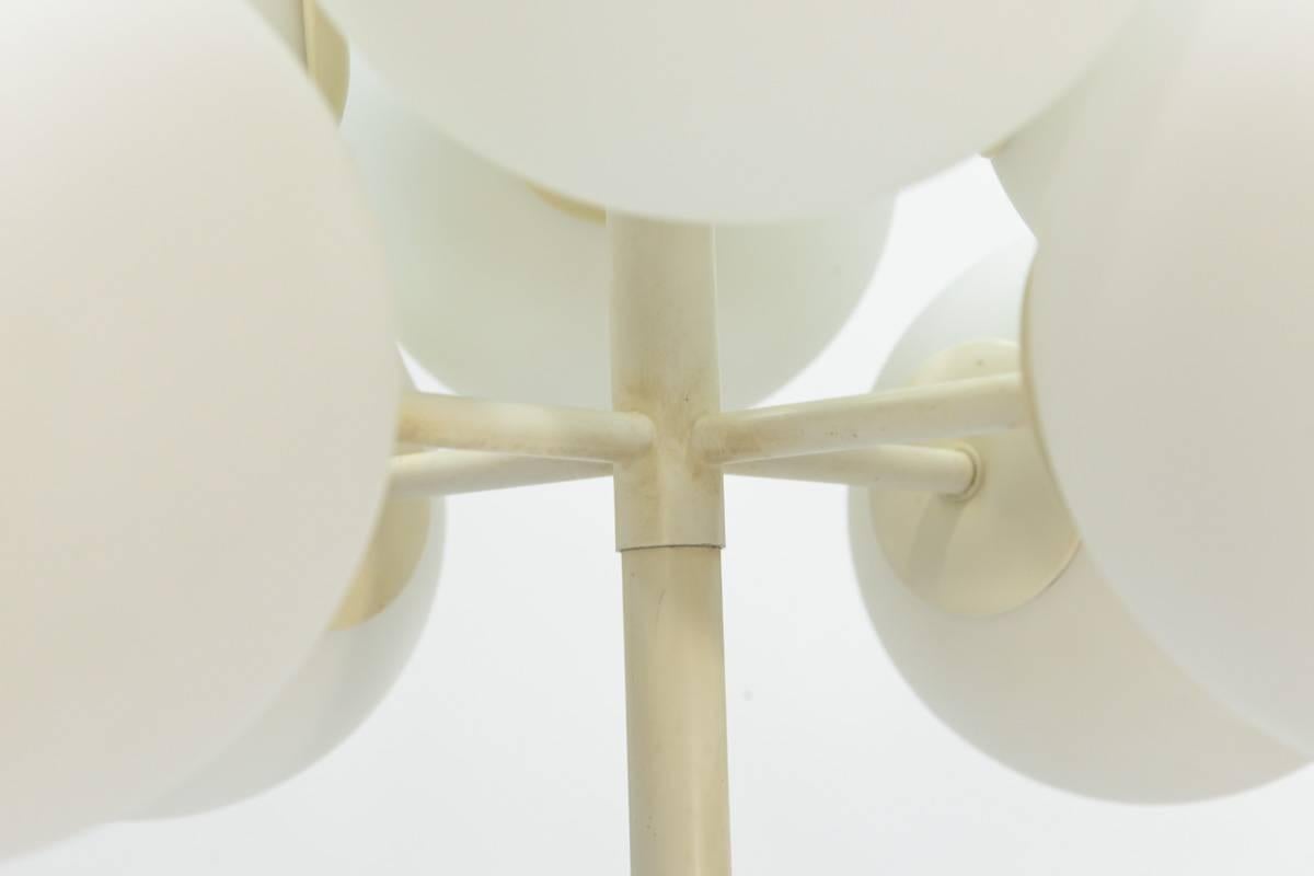 Tulip Floor Lamp with Frosted Globes by Temde Leuchten 3