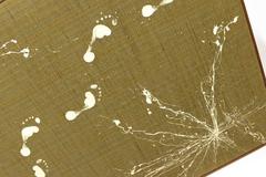 Adrian Pearsall ‘Love in Space’ Art Piece