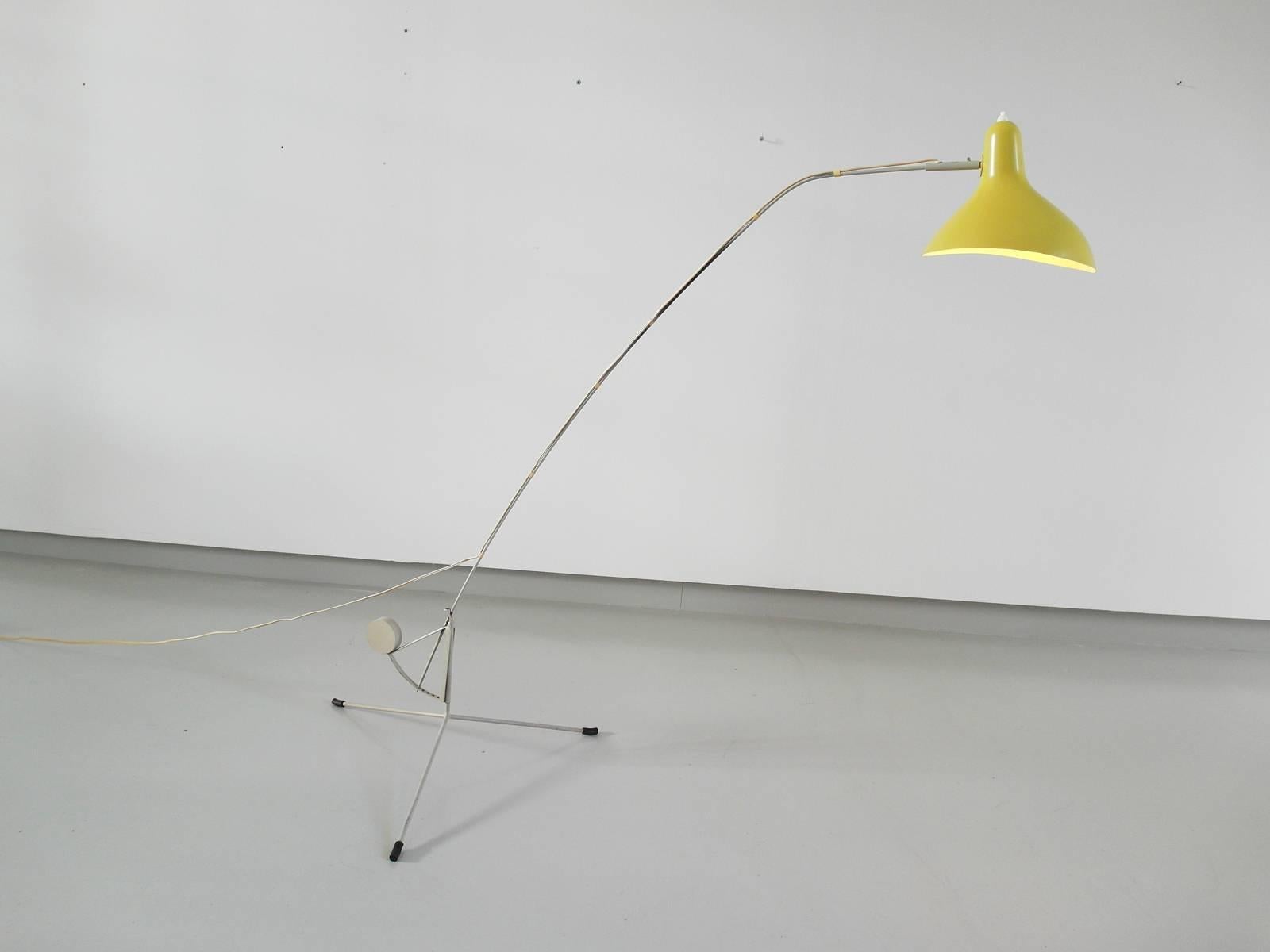 mantis schottlander