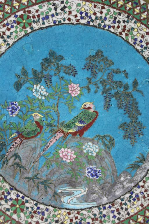 This cloisonné is intricate and masterfully executed representing two beautifully colored pheasants standing on rocks separated by a clear blue stream. 

Excellent condition with wear commensurate of age

Measures: Diameter 11.75.