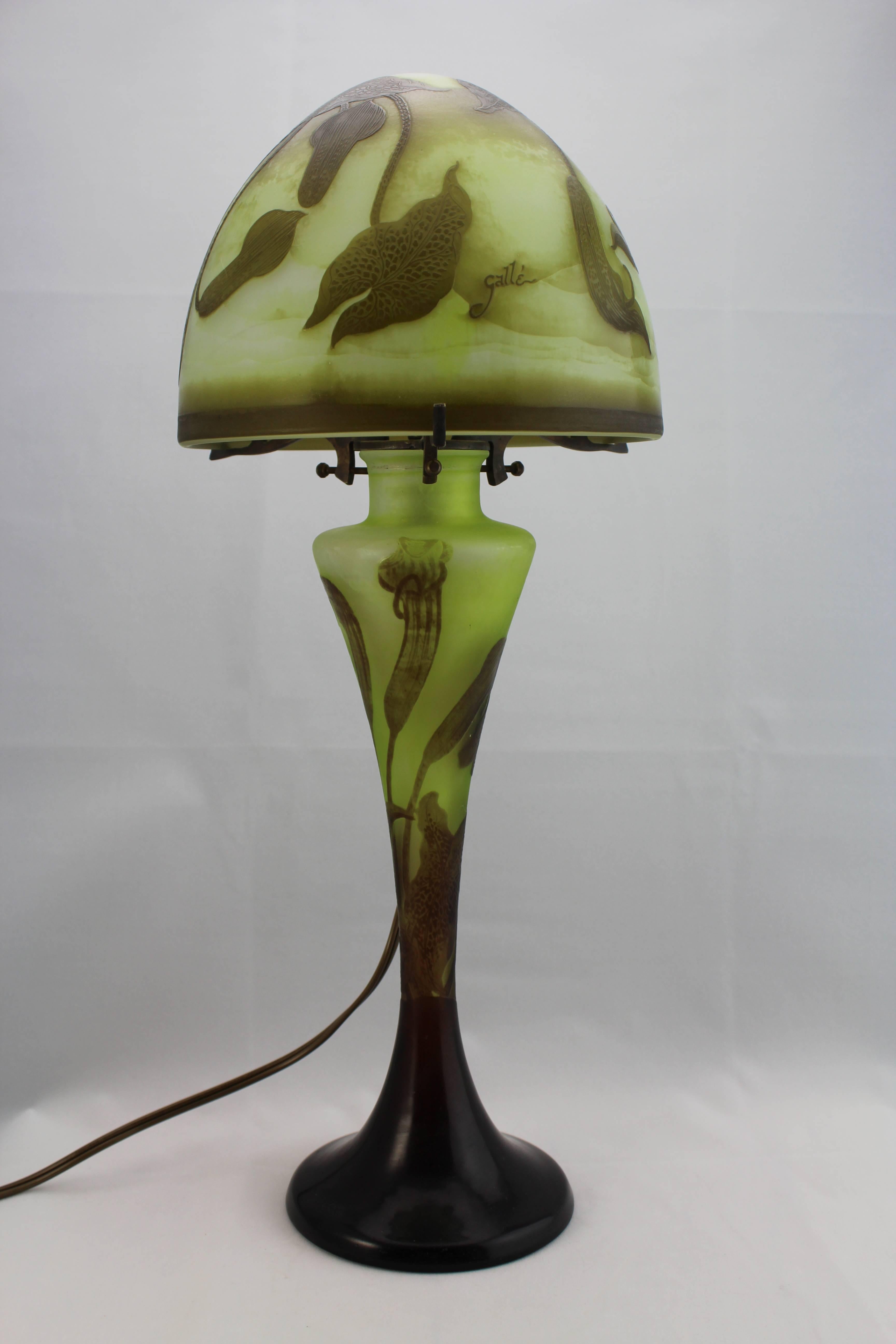 galle glass lamp