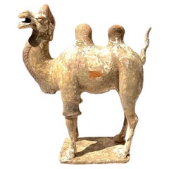 Tang Dynasty Polychromed Terracotta Bactrian Camel