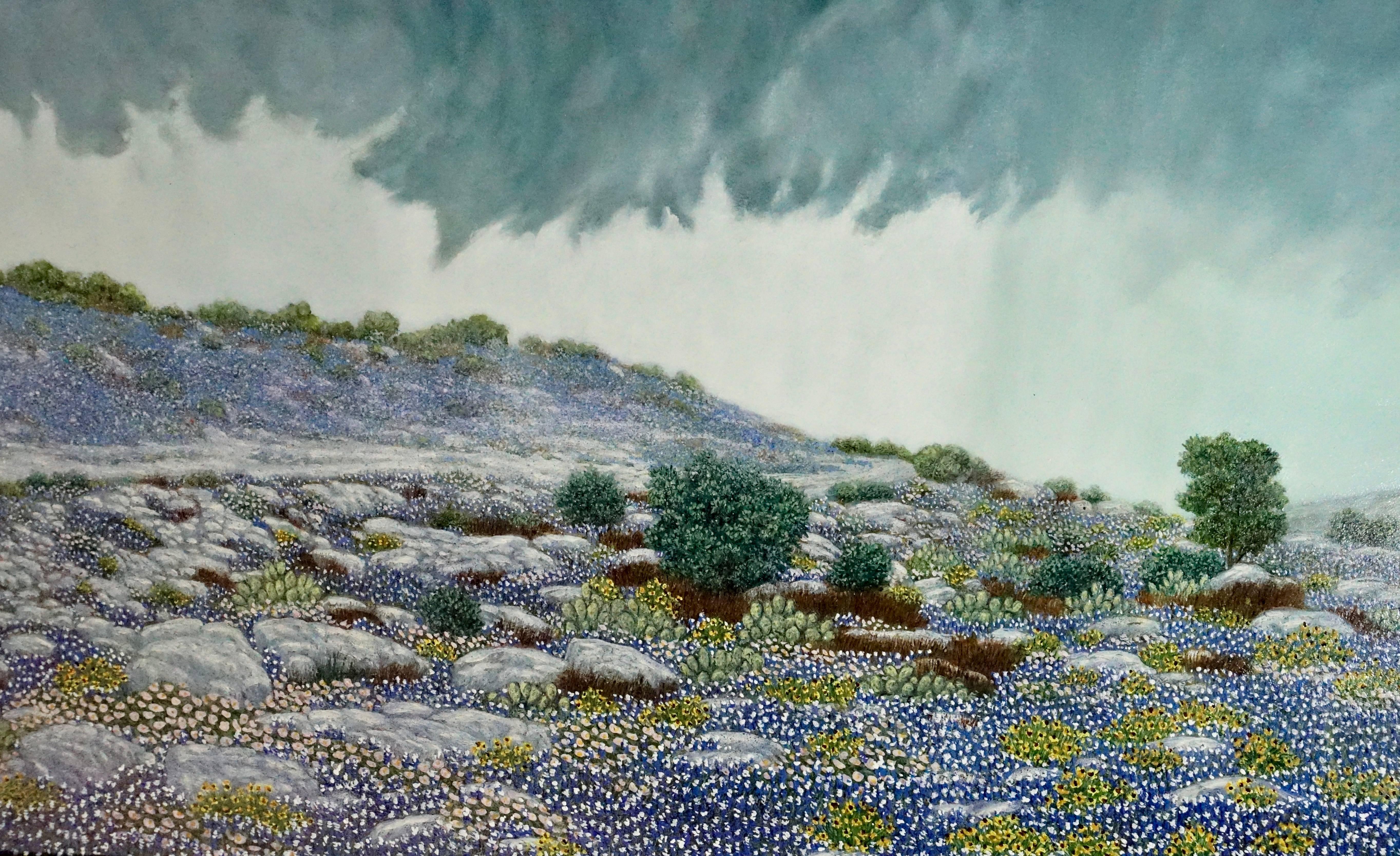 This amazing oil painting portrays a rain wrapped storm breaking out over a blue bonnet climax in the Texas hill country. The shaded landscape is rendered perfectly to accentuate the effect and atmosphere of the impending storm. The fine detail and