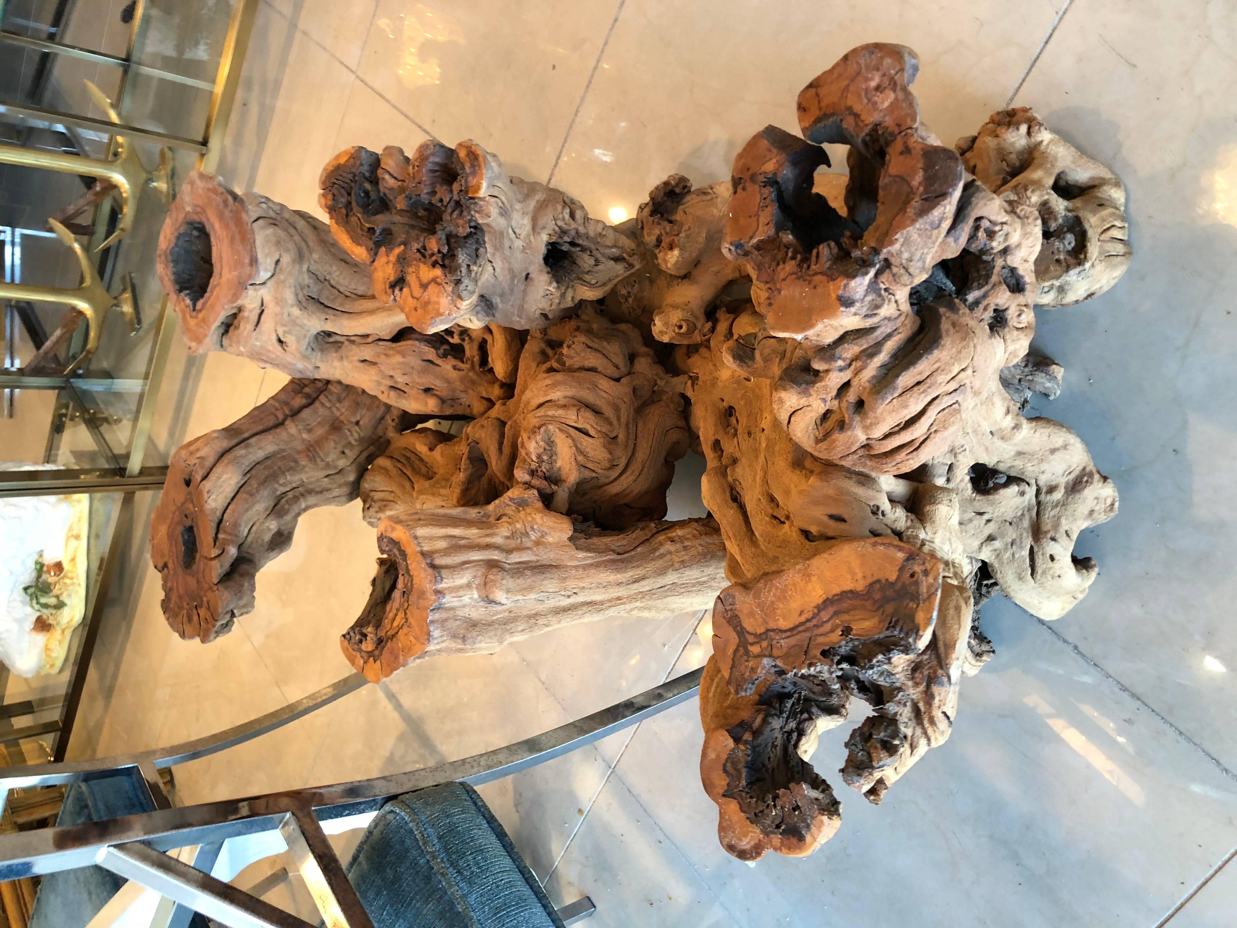 cypress driftwood