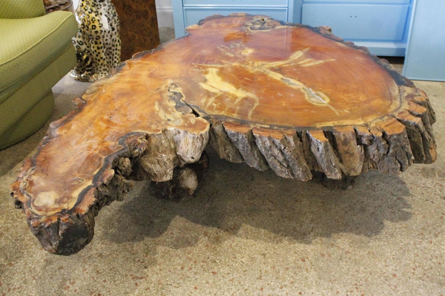 Vintage Cypress Tree Trunk Coffee or Cocktail Table For Sale at 1stdibs