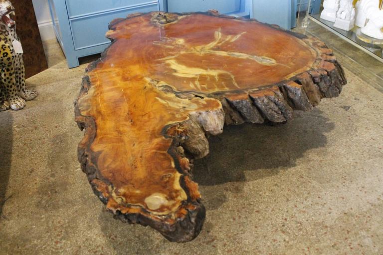 Vintage Cypress Tree Trunk Coffee or Cocktail Table For Sale at 1stdibs