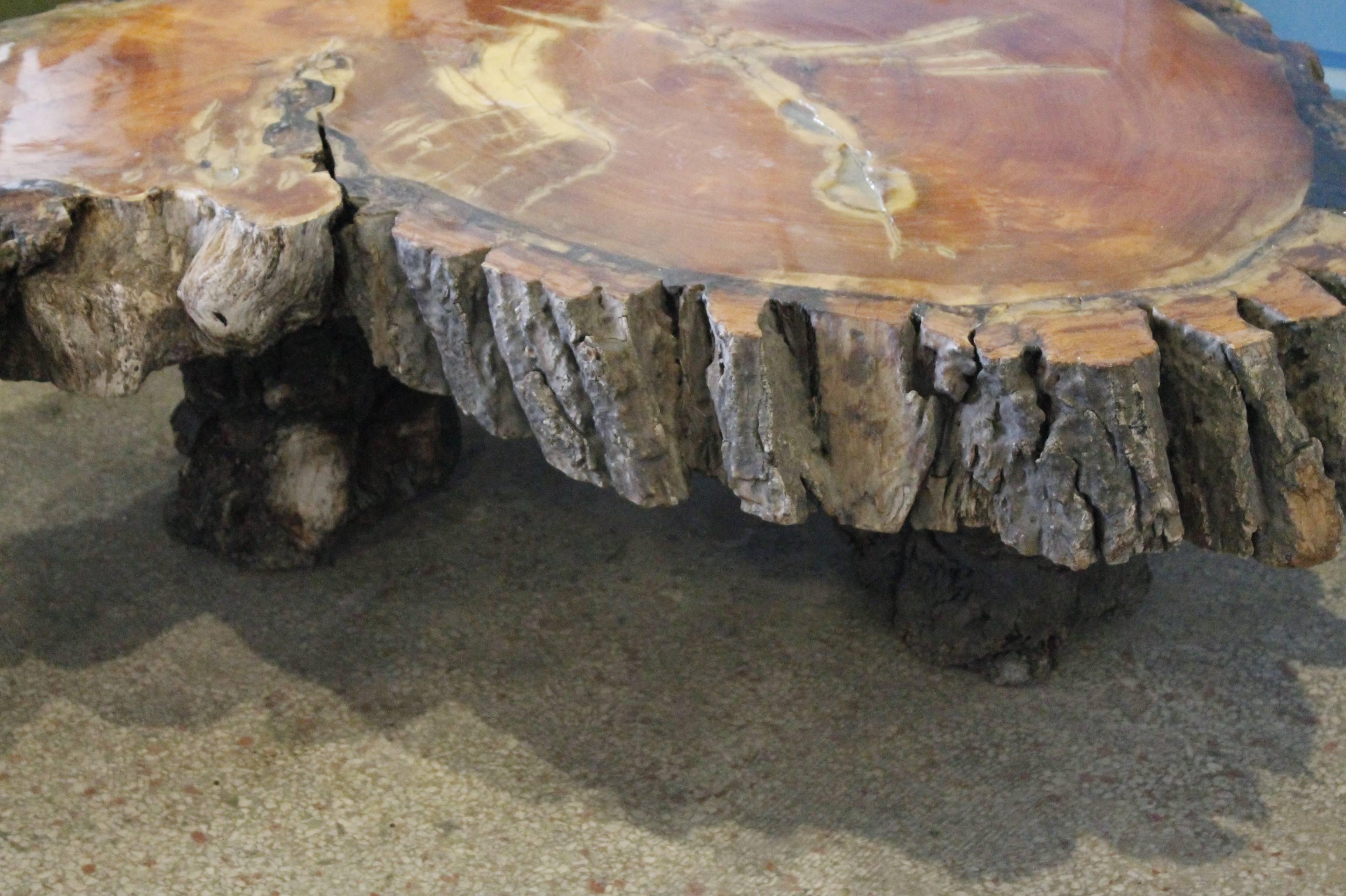 Vintage Cypress Tree Trunk Coffee or Cocktail Table In Good Condition In West Palm Beach, FL