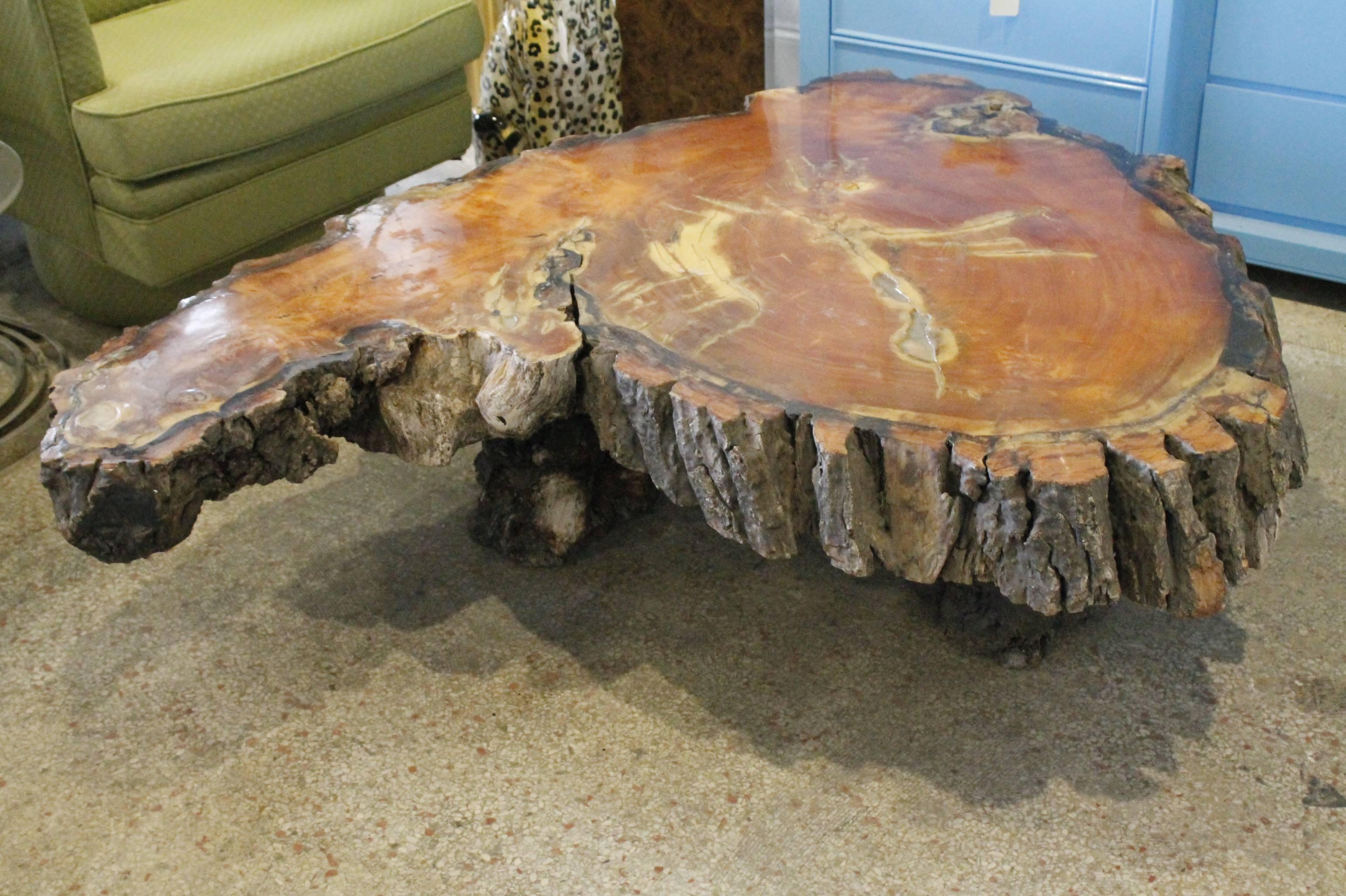 20th Century Vintage Cypress Tree Trunk Coffee or Cocktail Table