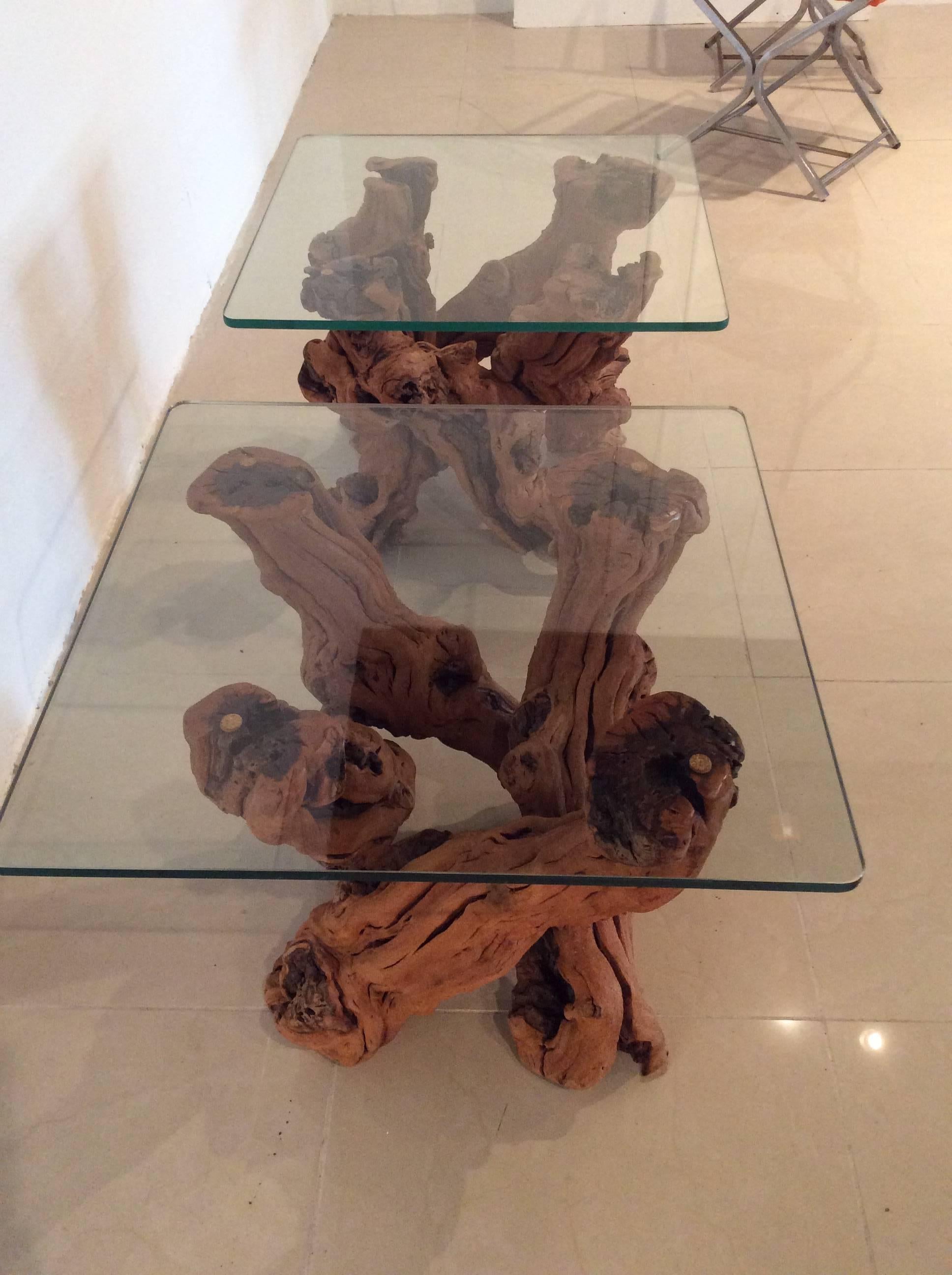 20th Century Driftwood Vintage Pair of Cypress Root End Side Tables Palm Beach Tree Freeform