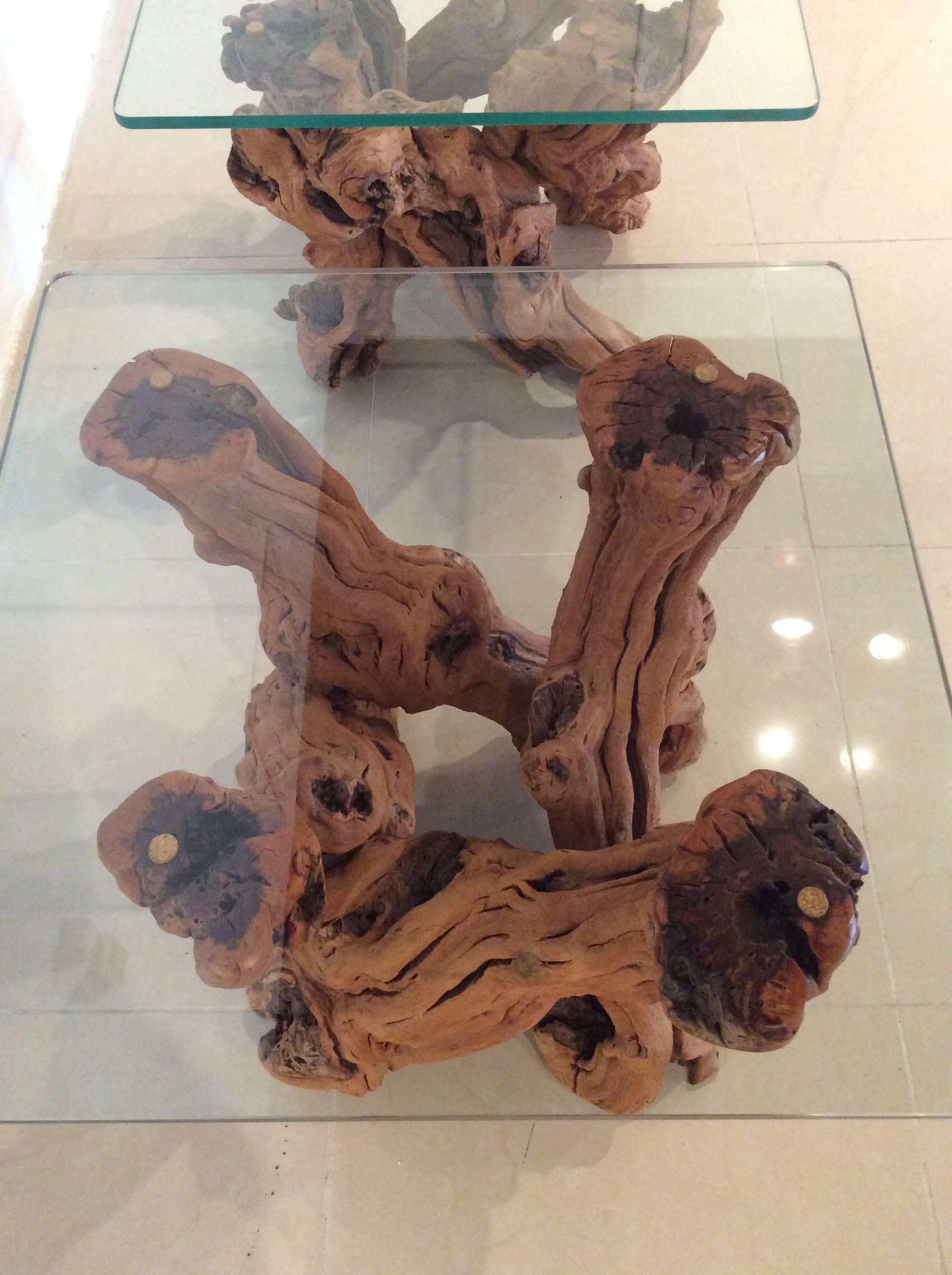 Driftwood Vintage Pair of Cypress Root End Side Tables Palm Beach Tree Freeform 1