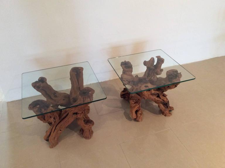 Driftwood Vintage Pair Of Cypress Root End Side Tables Palm Beach Tree Freeform