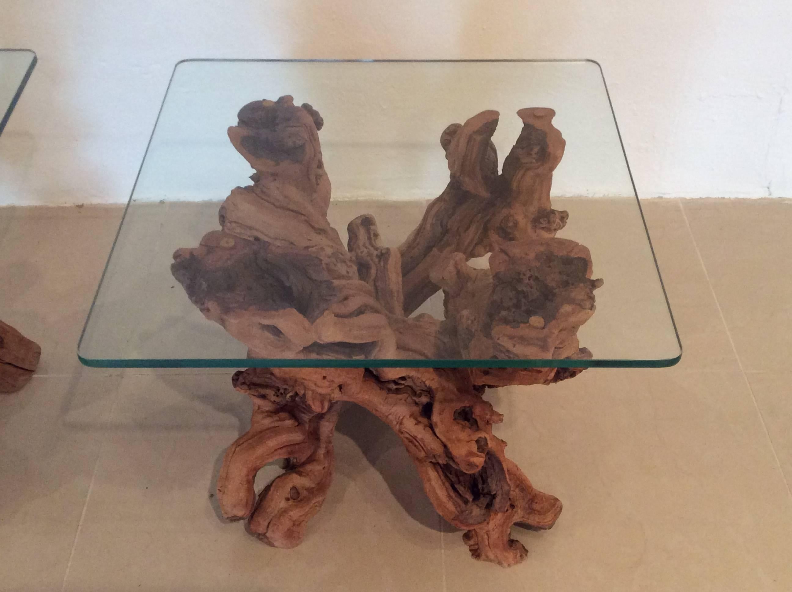 Mid-Century Modern Driftwood Vintage Pair of Cypress Root End Side Tables Palm Beach Tree Freeform