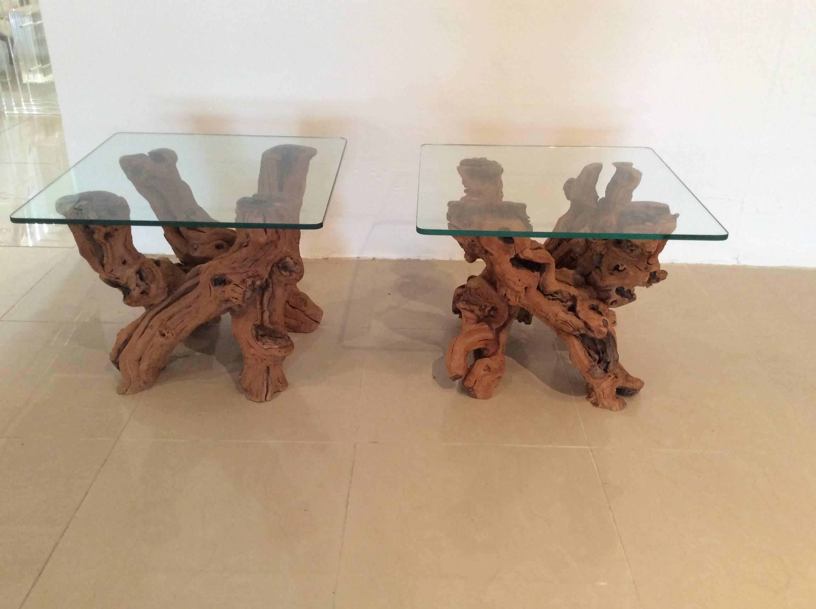 American Driftwood Vintage Pair of Cypress Root End Side Tables Palm Beach Tree Freeform