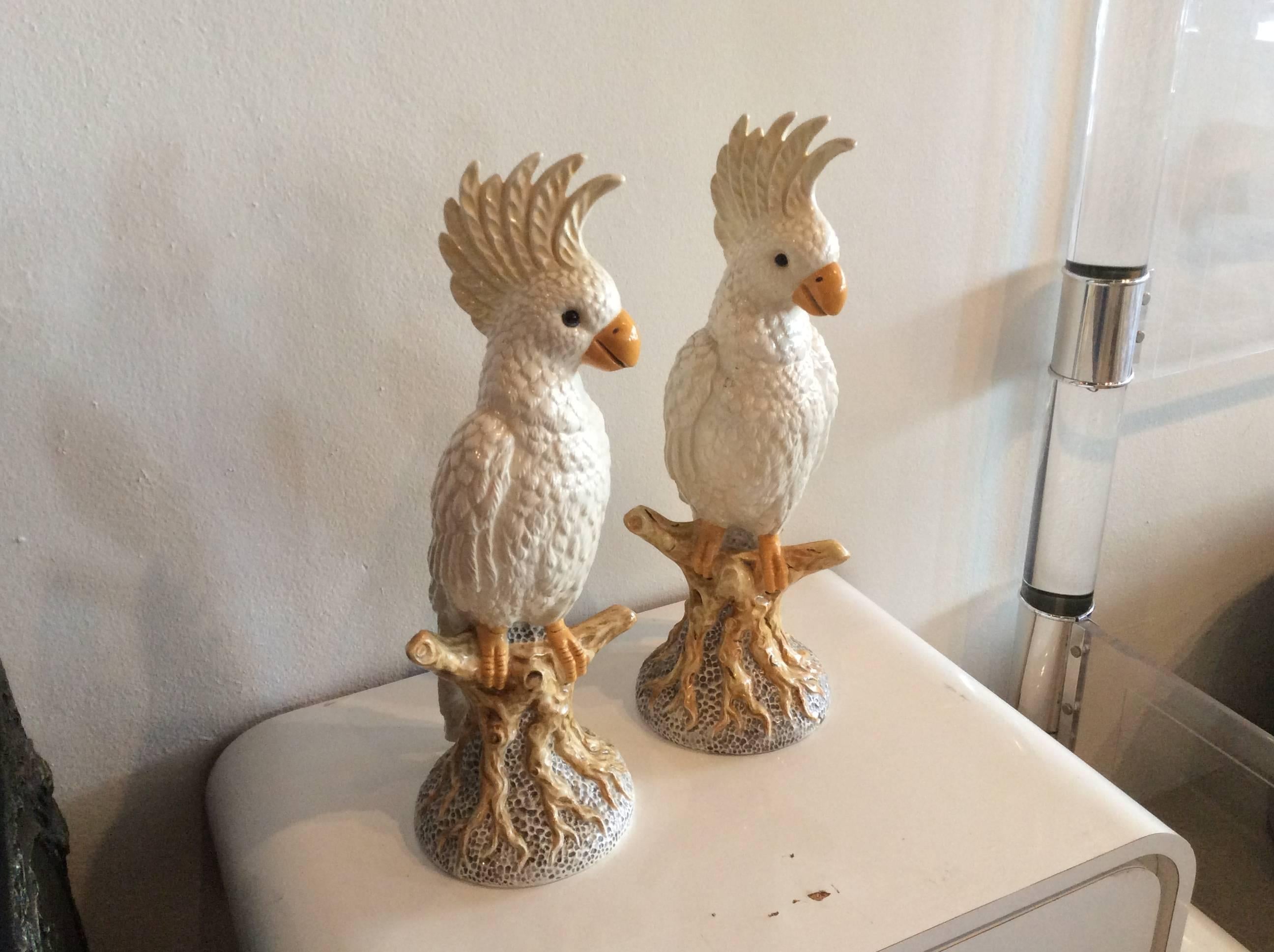 Lovely large pair of vintage cockatoo Italian bird statues. No chips or breaks.