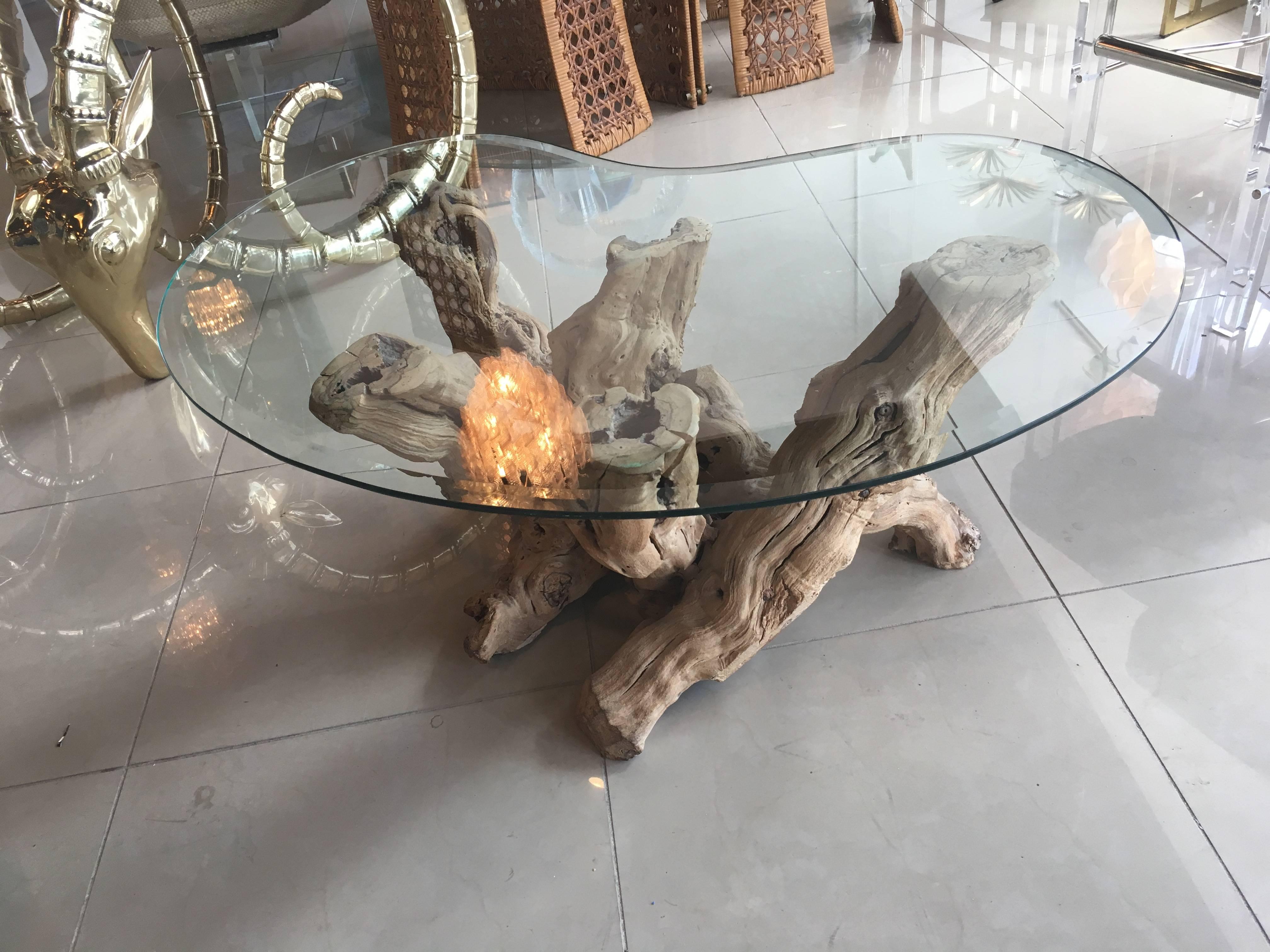 American Driftwood Coffee Cocktail Glass Table Palm Beach Vintage Freeform Cypress Wood 