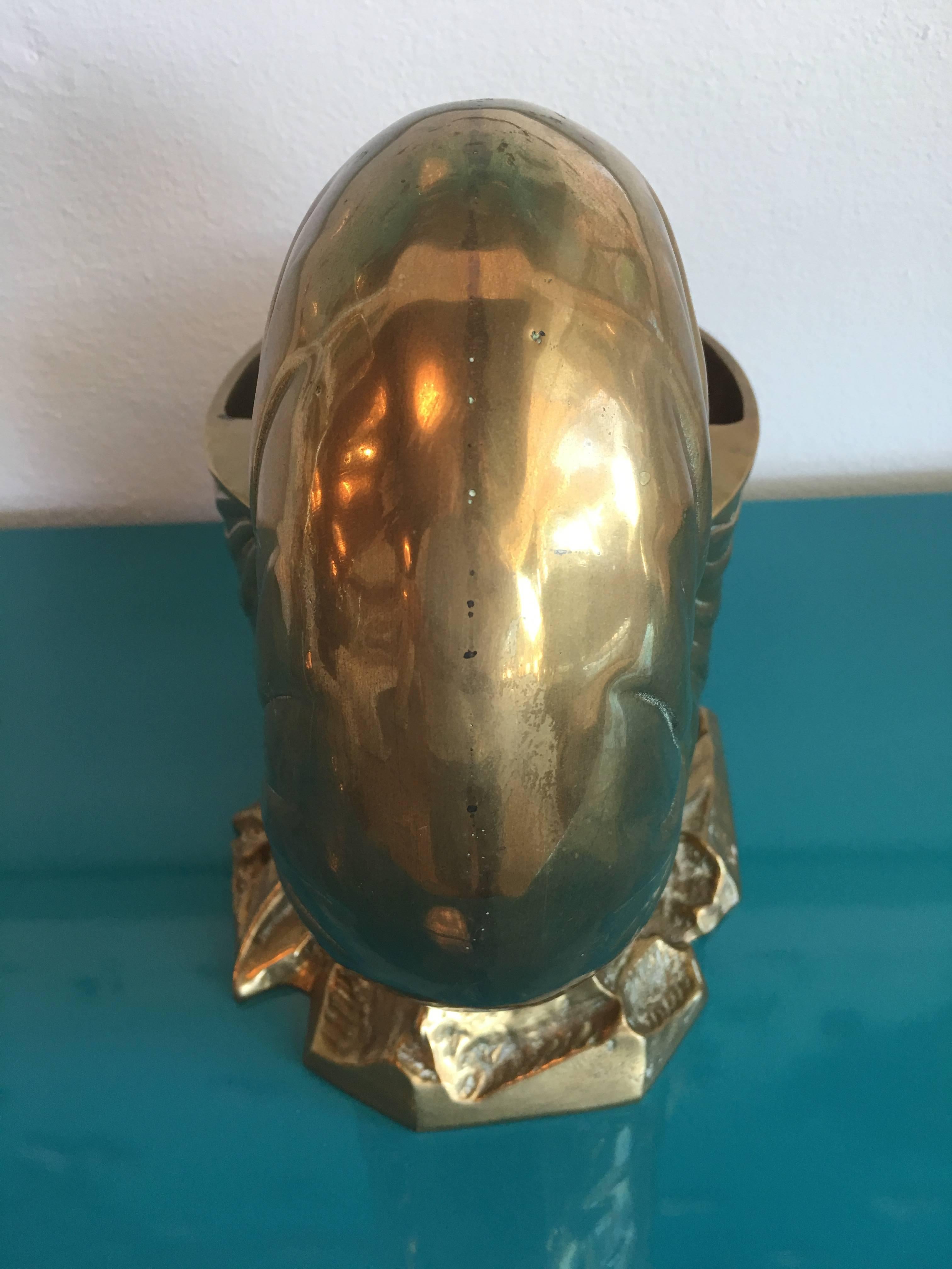 brass nautilus shell