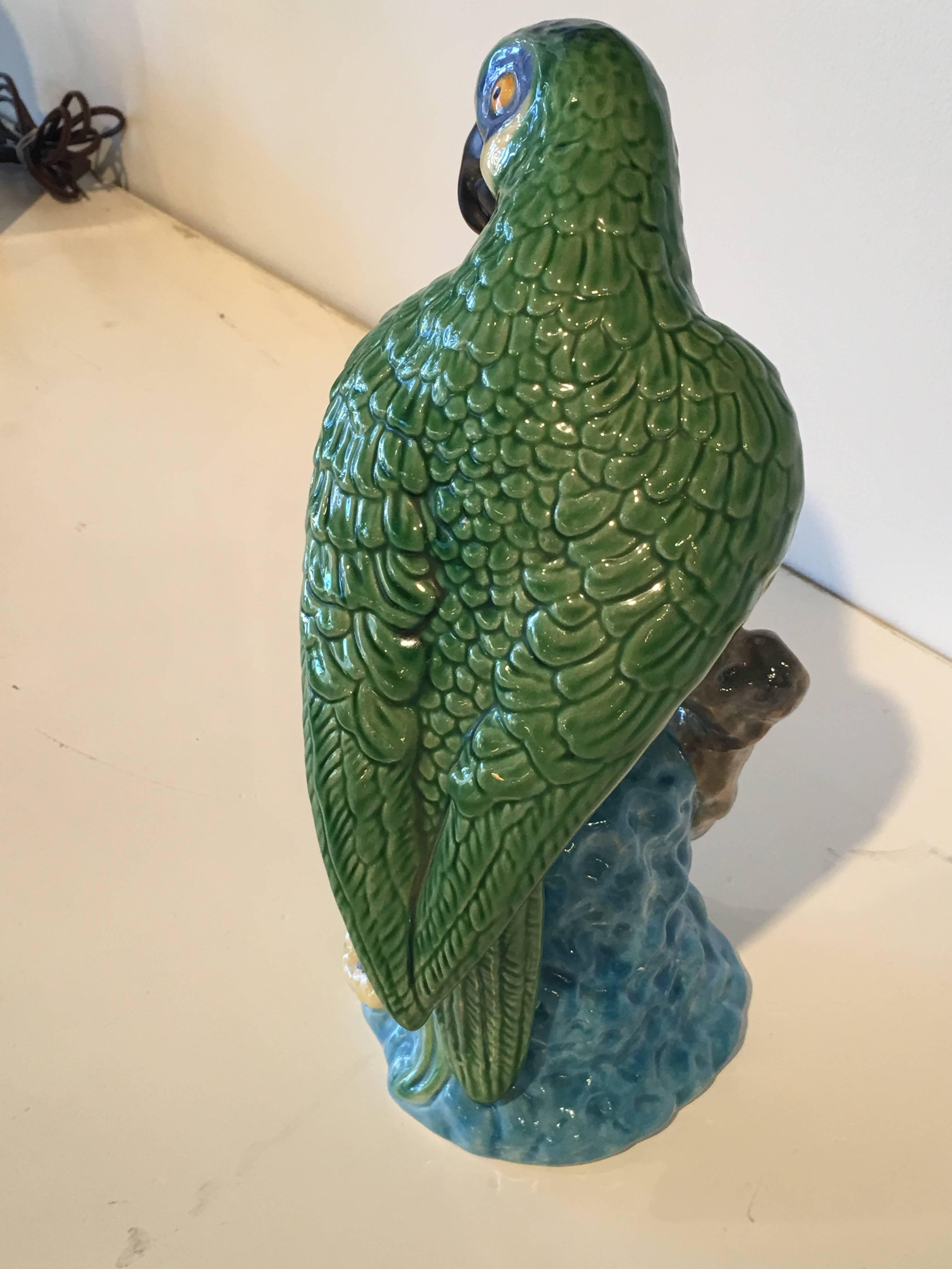perroquet portugais