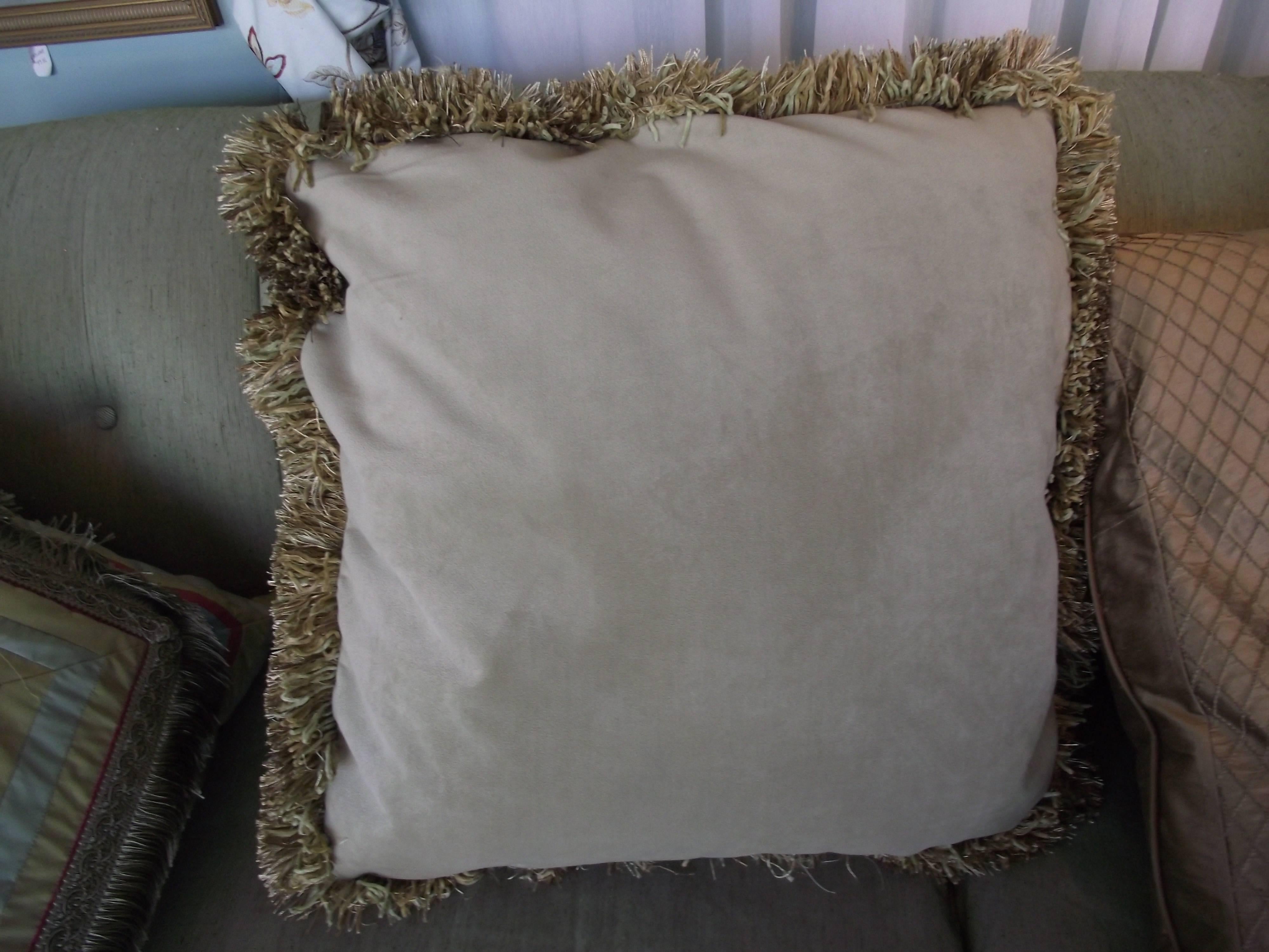 American Throw Pillow / Unusual 