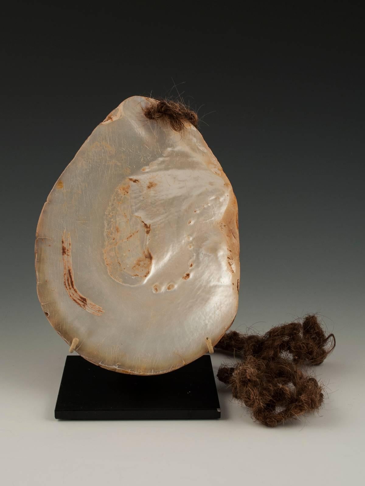 This is a luminous pearl shell pubic cover from the Kimberly area of Western Australia, worn by  men during certain ceremonies. It still has the human hair rope that wrapped around the man’s waist. On the left side is a symbolic incised line,