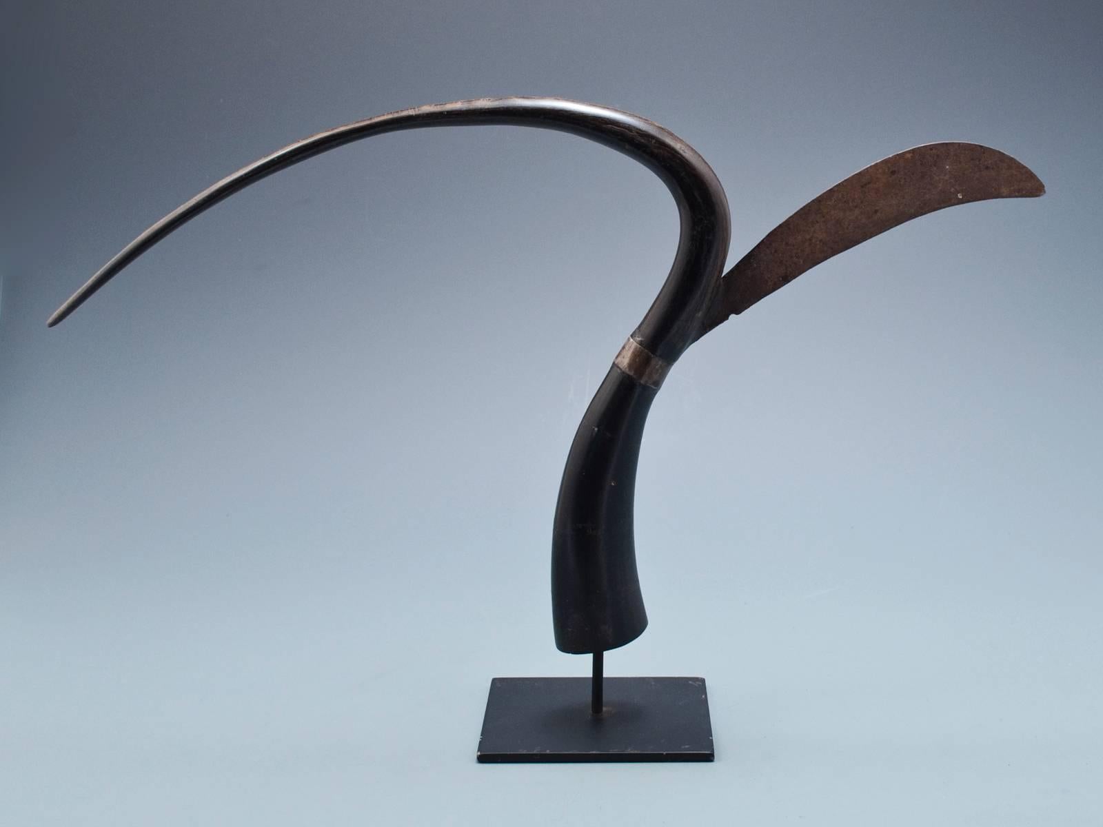 Mid-20th century Rice Cutter from the Khmer people of Cambodia.
The gracefully curved part of the ox Horn was used to gather a handful of rice plants and then with a skillful turn of the wrist the sheaf was cut with the iron blade.