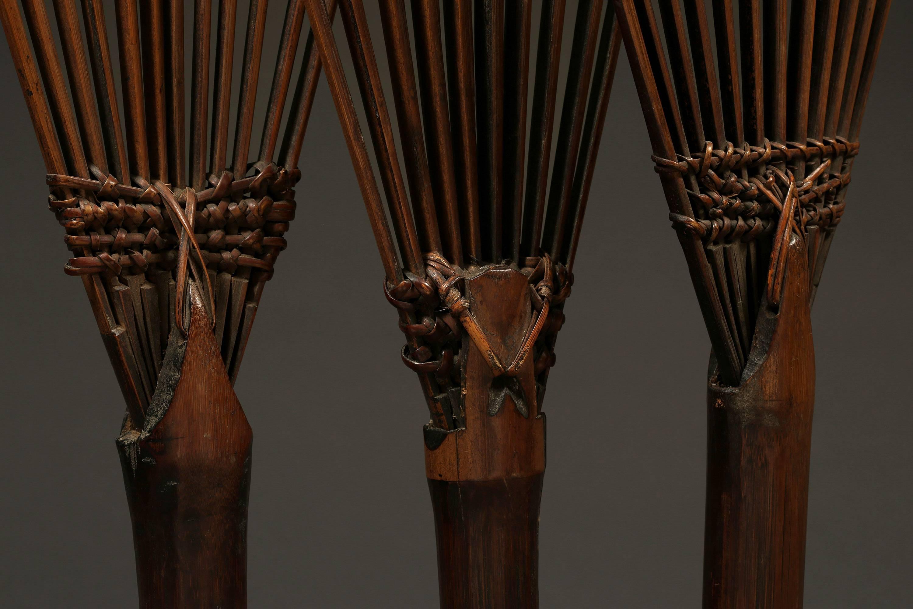 Three-grain threshing tools
Arunachal Pradesh, NE India
circa 1920
Bamboo handle with split bamboo tines.
