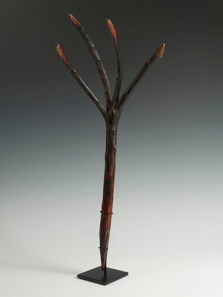 Offered by Zena Kruzick
Early to mid-20th century tribal wood rake, Bhutan

A wonderfully evocative wood rake from Bhutan, with custom base. These usually have three prongs; this is an exceptional four-pronged rake.