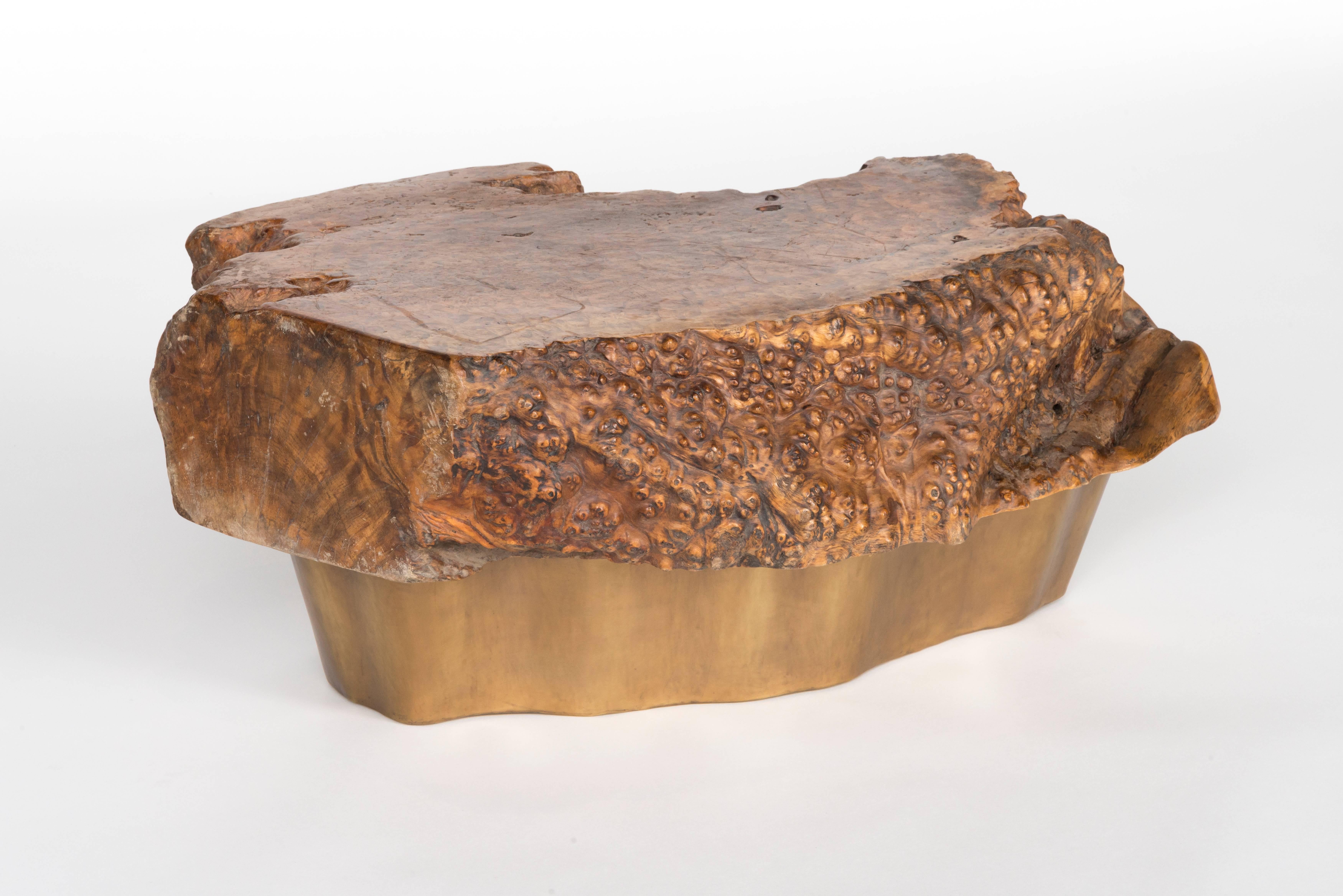 A one of a kind table consisting of an antique burl wood top from the 19th century circa late Ching dynasty and a contemporary Robert Kuo hand repoussé root shaped brass base.

