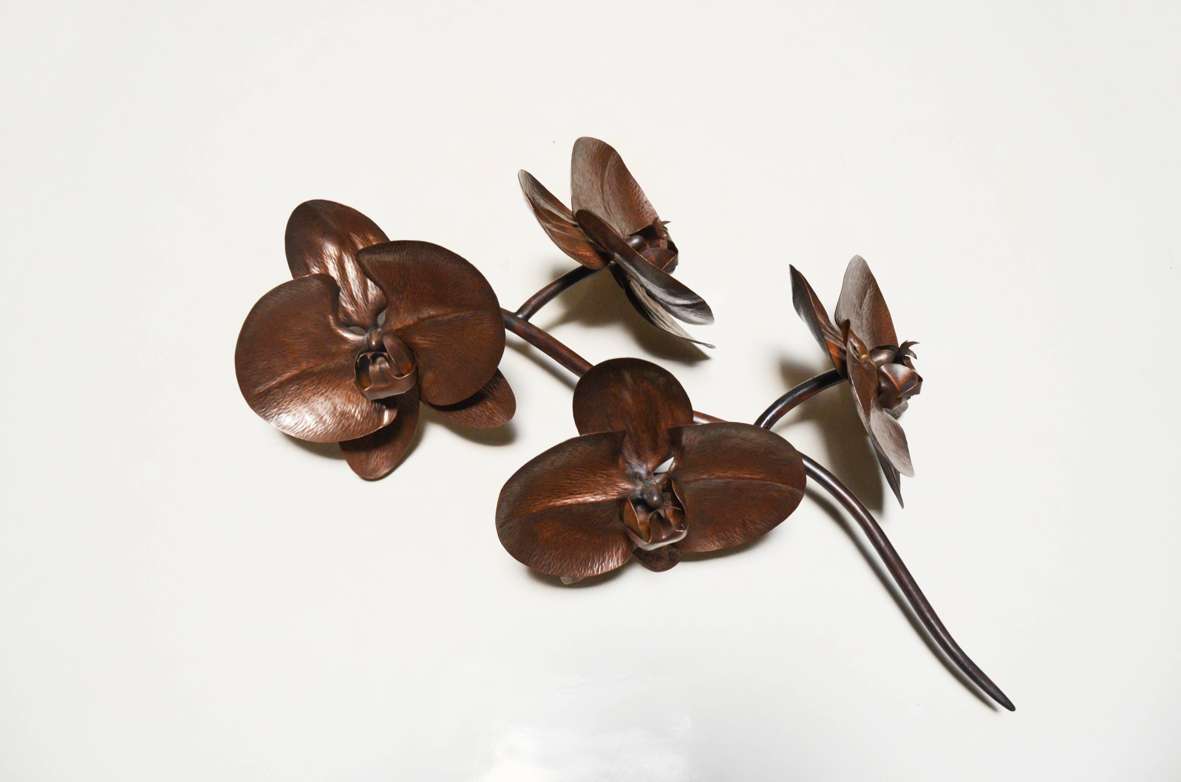Contemporary Large Orchid Sculpture by Robert Kuo, Hand Repoussé Copper, Limited Edition