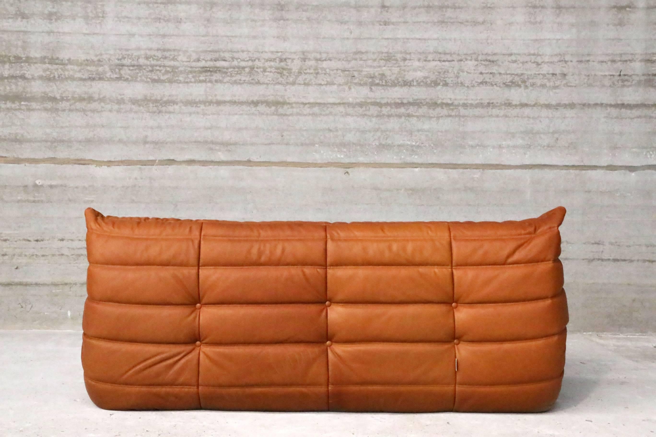 Late 20th Century Large Set of Togo by Michel Ducaroy for Ligne Roset in Funky Full Grain Leather