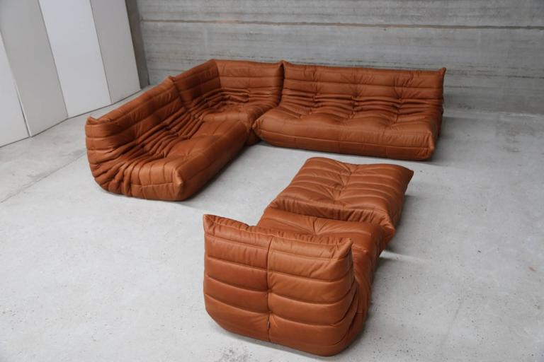 Vintage Ligne Roset Togo Set Reupholstered in Vintage Cognac Leather at  1stDibs  ligne roset togo reupholster, ligne roset reupholstering, ligne  roset togo vintage