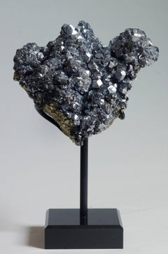 Galena and Pyrite