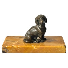Figura de bronce del siglo XIX de un perro salchicha sobre base de mármol de Siena