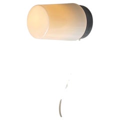 Lampe murale ou de plafond vintage minimaliste pour salle de bains, signée RZB Autriche, années 1970